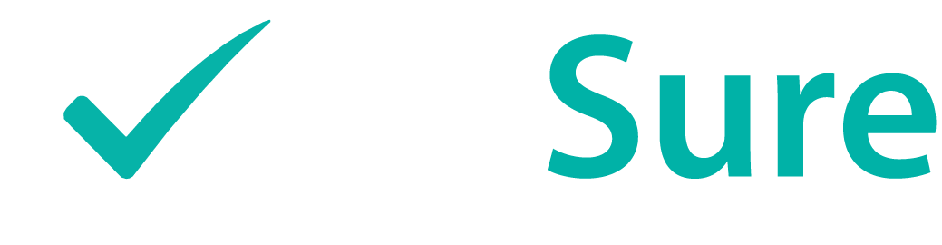 CodeSure Consulting Group