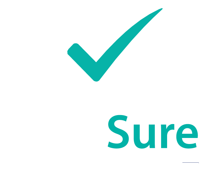 CodeSure Consulting Group